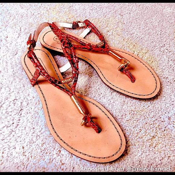 Coach Orange Snakeskin Sandals Size 5 - Picture 2 of 3